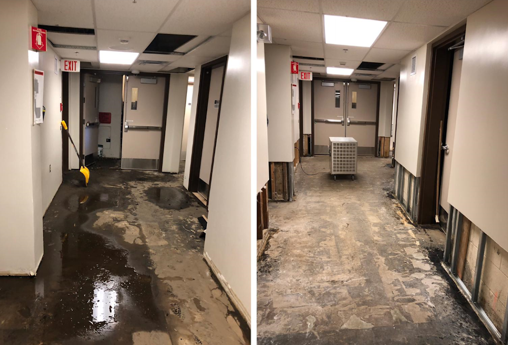 Canada's Restoration Services
