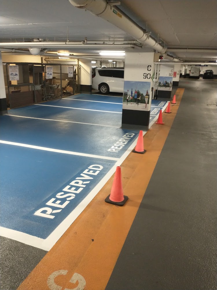 Capital Parking Lot Line Painting (CPLS)