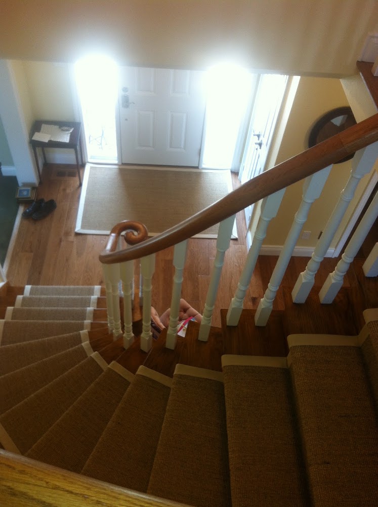Floorians, Carpet and Flooring Services